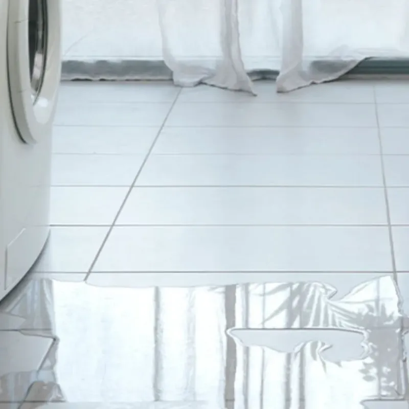 Appliance Leak Cleanup in Watsonville, CA
